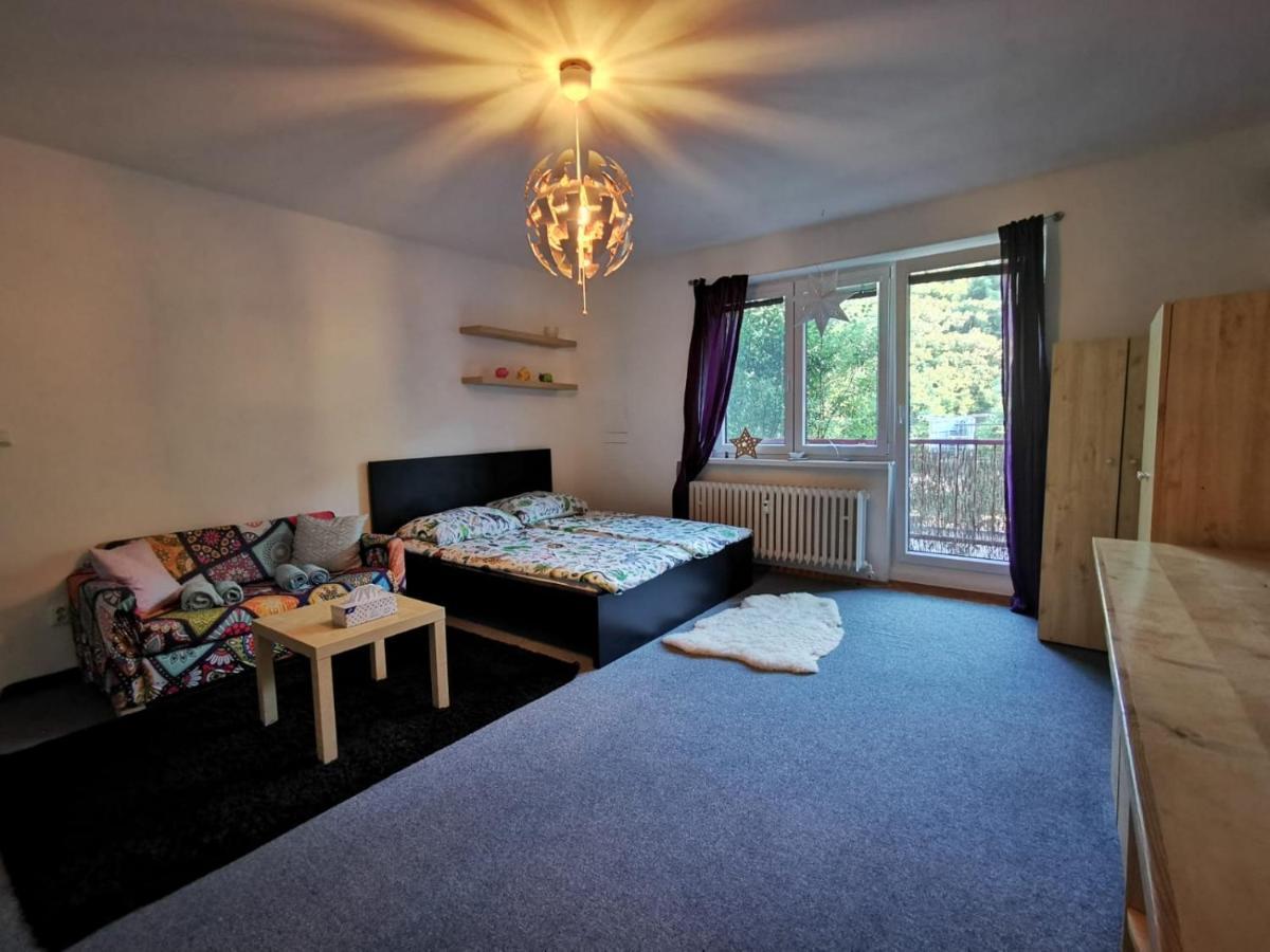 Apartmán Cely Apartman Podlesi 54M2 S Dvema Balkony A S Novou Manzelskou Posteli, Zatim Neni Na Fotkach Brno Exteriér fotografie