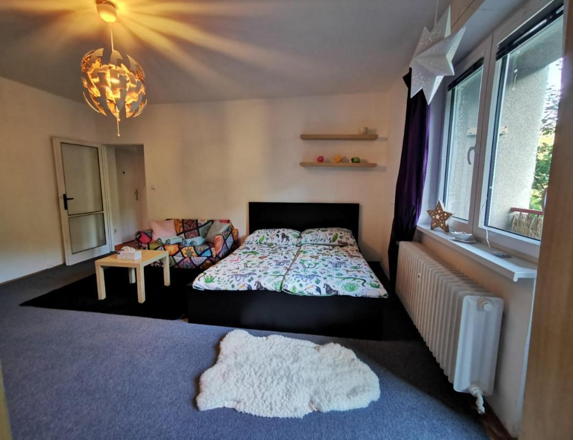 Apartmán Cely Apartman Podlesi 54M2 S Dvema Balkony A S Novou Manzelskou Posteli, Zatim Neni Na Fotkach Brno Exteriér fotografie